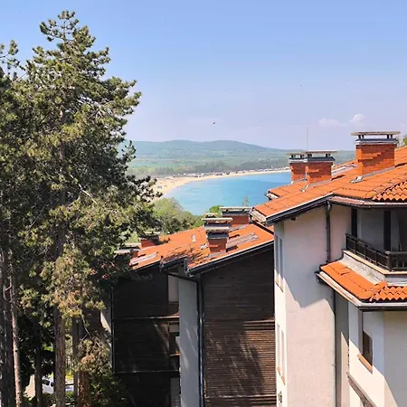 Lavender * Süzebolu